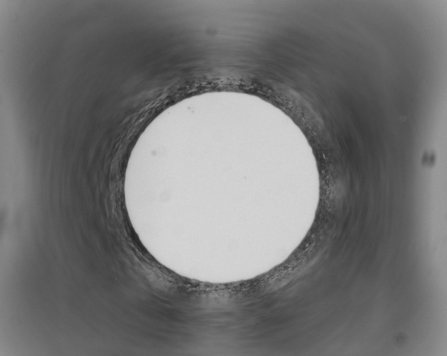 X0000094460769200711081058