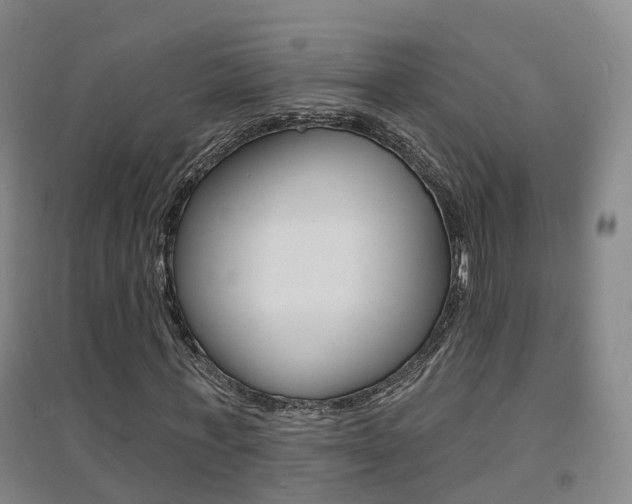 X0000094460771200711081058