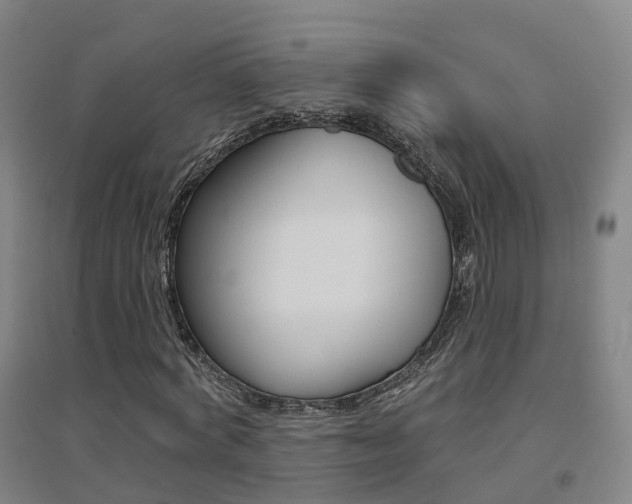 X0000094460772200711081058