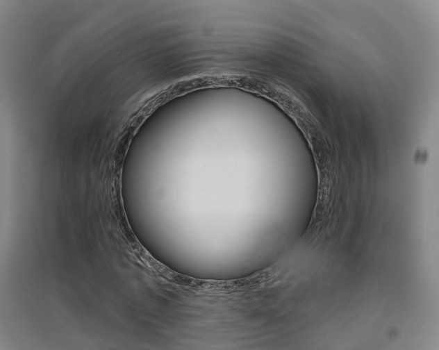X0000094460773200711081058