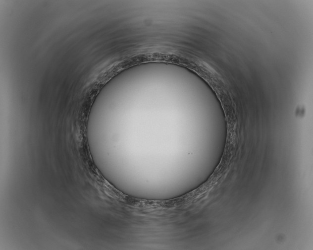 X0000094460774200711081058