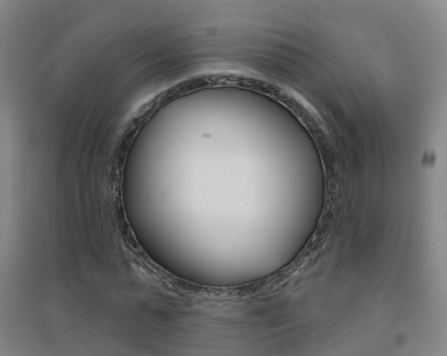X0000094460775200711081058