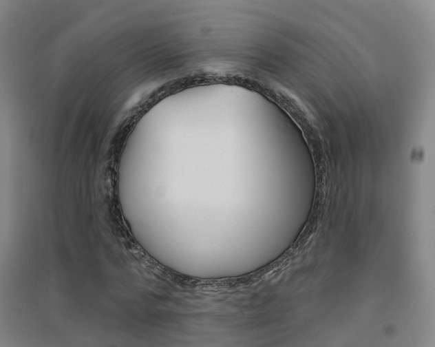 X0000094460776200711081058