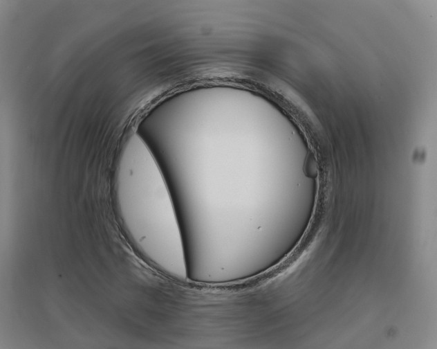 X0000094460777200711081058