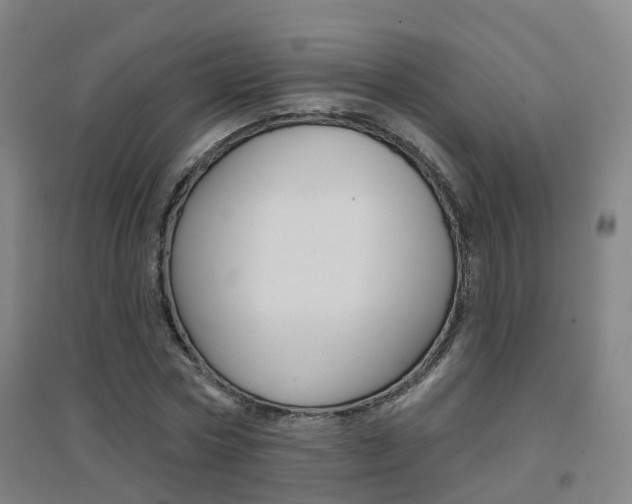 X0000094460778200711081058