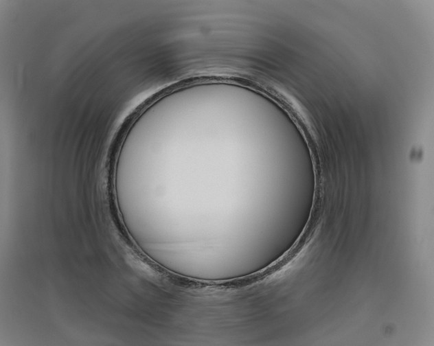 X0000094460779200711081058