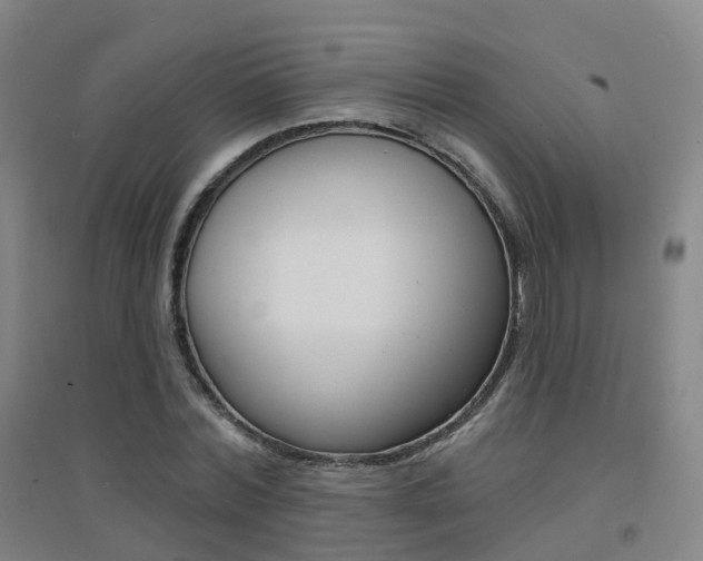 X0000094460780200711081058