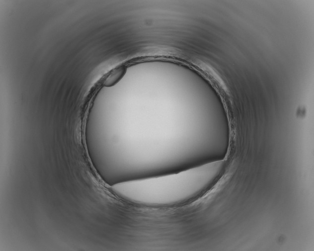 X0000094460781200711081058