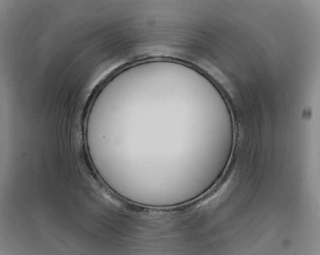 X0000094460782200711081058