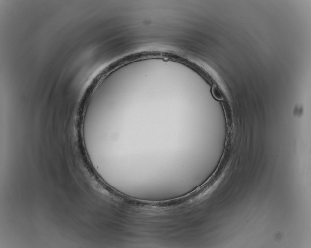 X0000094460783200711081058
