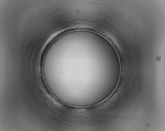 X0000094460784200711081058