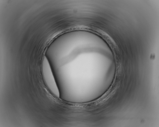X0000094460785200711081058