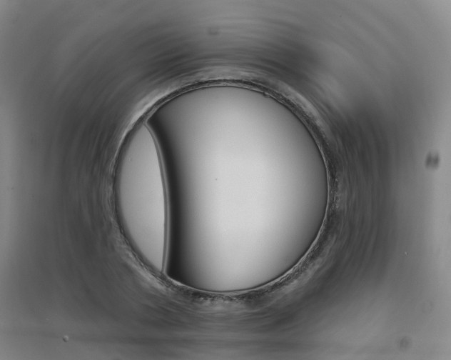 X0000094460786200711081058