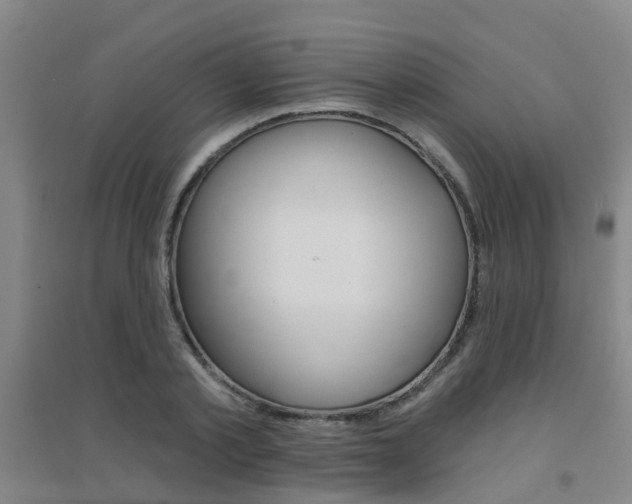 X0000094460789200711081058