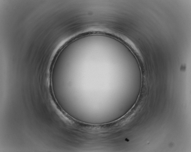 X0000094460791200711081058