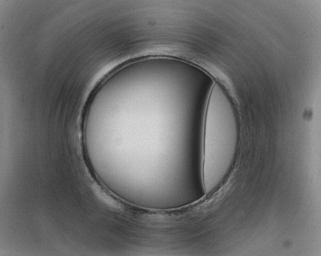 X0000094460792200711081058