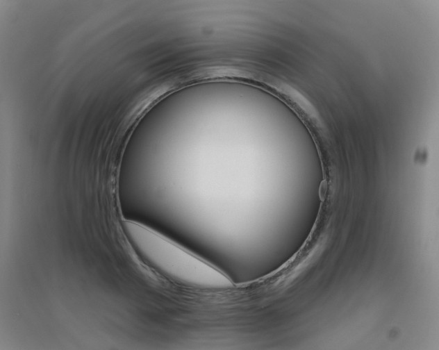 X0000094460793200711081058