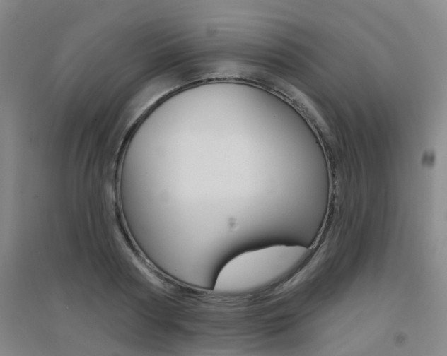 X0000094460794200711081058