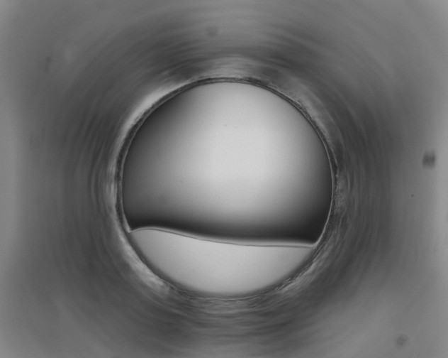 X0000094460795200711081058