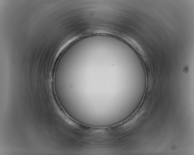 X0000094460798200711081058