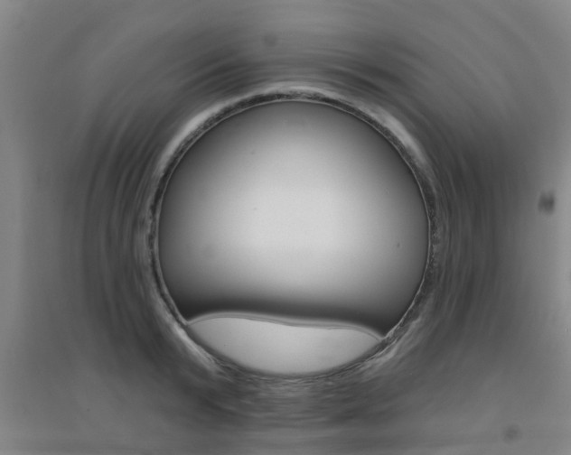 X0000094460799200711081058