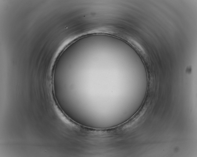 X0000094460800200711081058