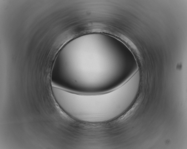 X0000094460801200711081058