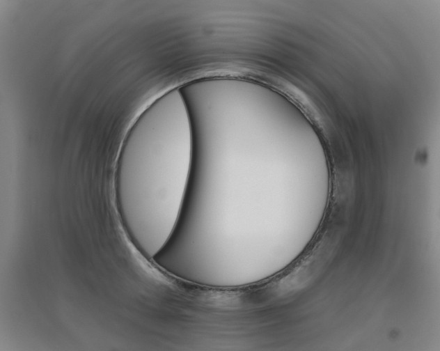 X0000094460802200711081058