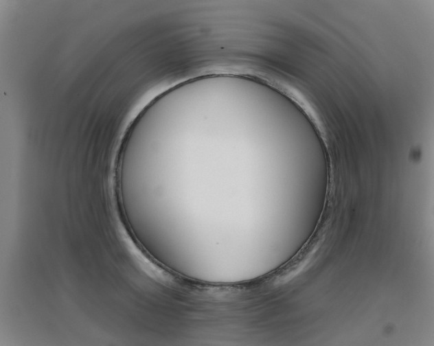 X0000094460803200711081058