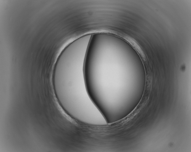 X0000094460805200711081058