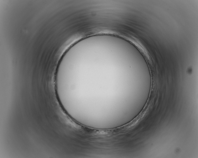 X0000094460806200711081057