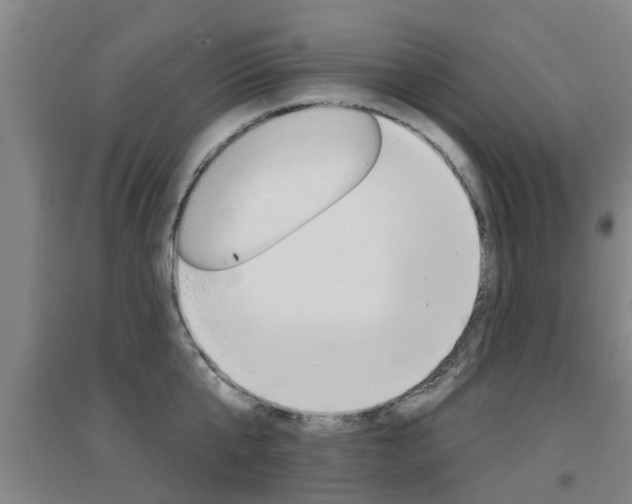 X0000094460807200711081057