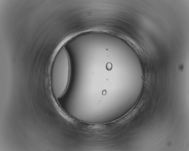 X0000094460808200711081057