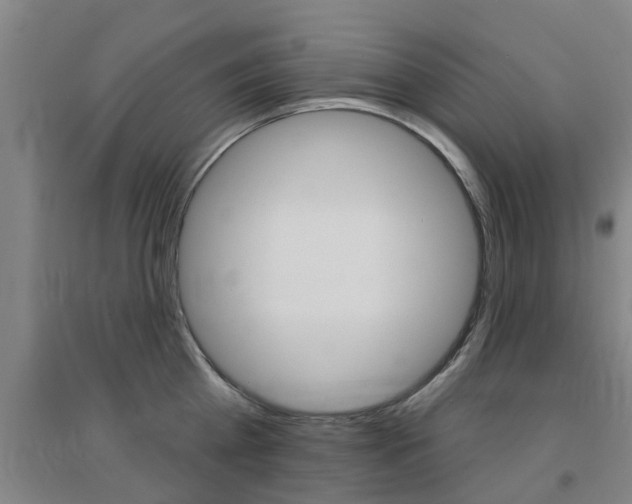 X0000094460809200711081057
