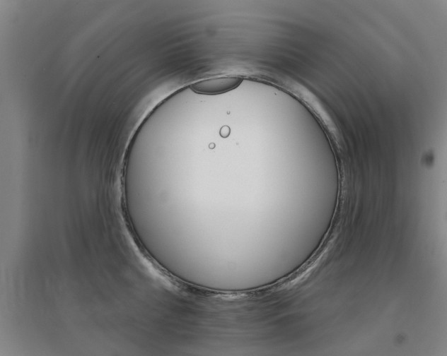 X0000094460810200711081057