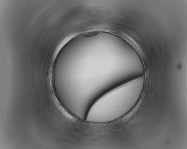 X0000094460812200711081057