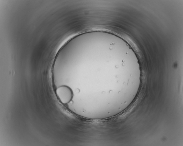 X0000094460814200711081057