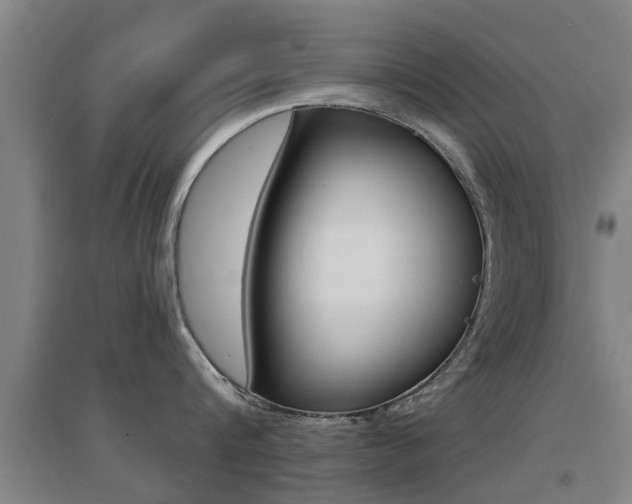 X0000094460816200711081057