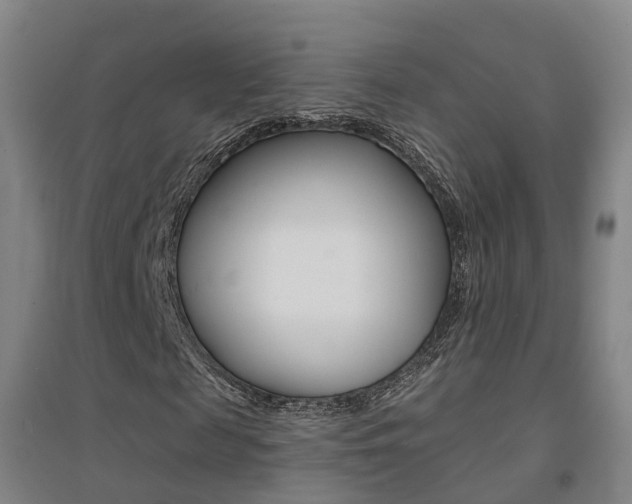 X0000094460817200711081057