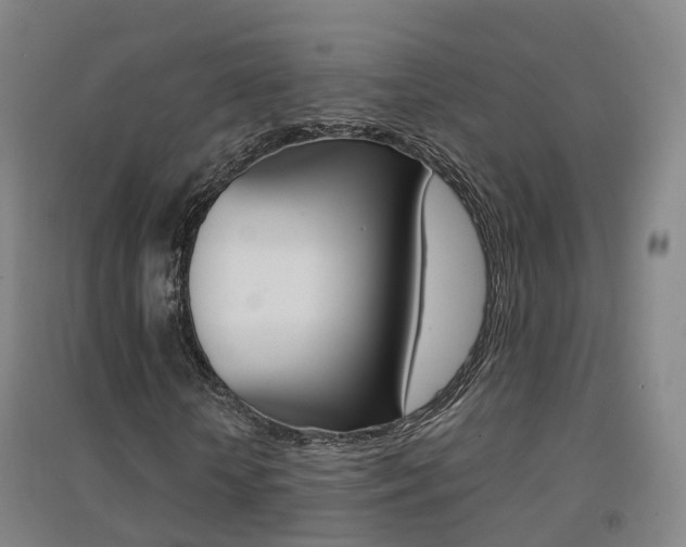 X0000094460818200711081057