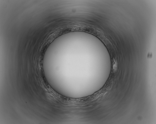 X0000094460819200711081057