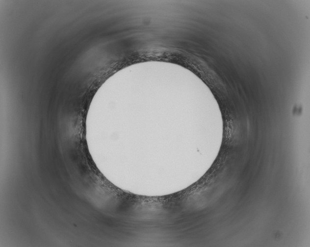 X0000094460820200711081057