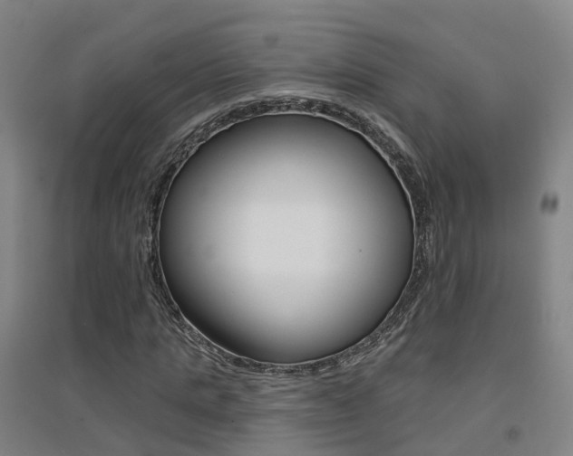 X0000094460821200711081057