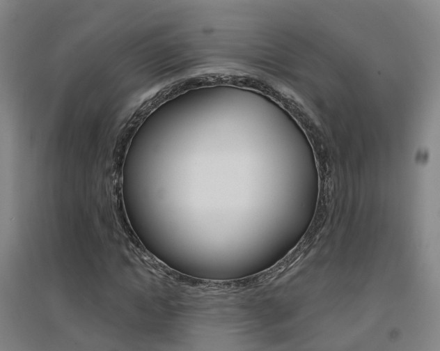 X0000094460822200711081057