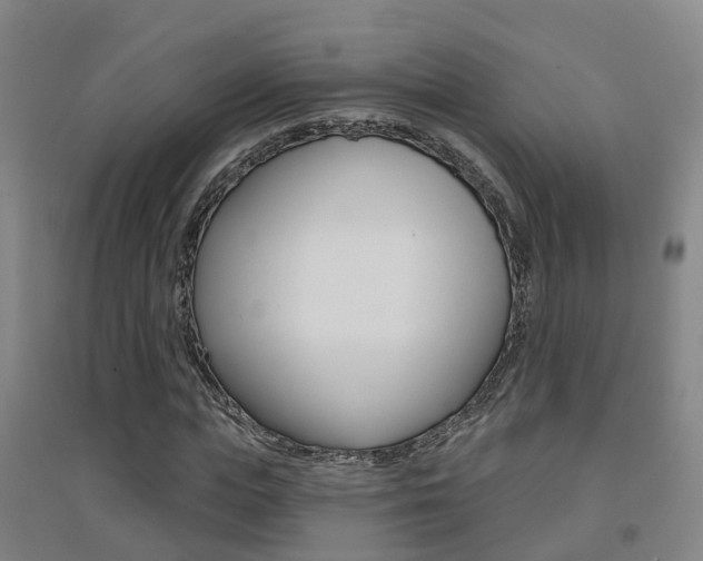 X0000094460823200711081057