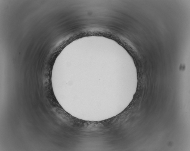 X0000094460824200711081057