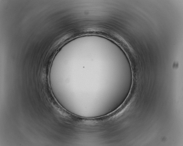 X0000094460825200711081057
