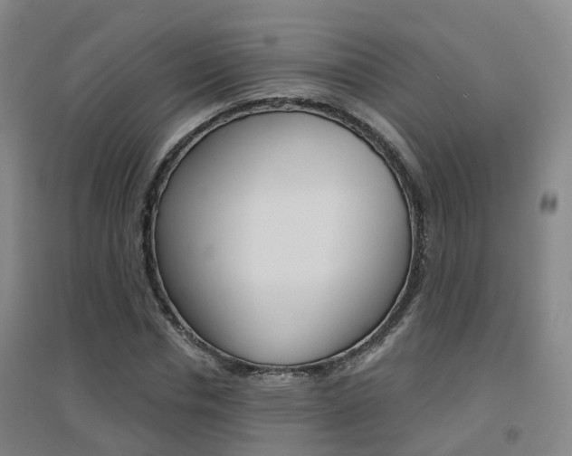 X0000094460826200711081057