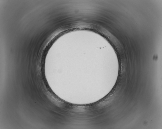 X0000094460828200711081057