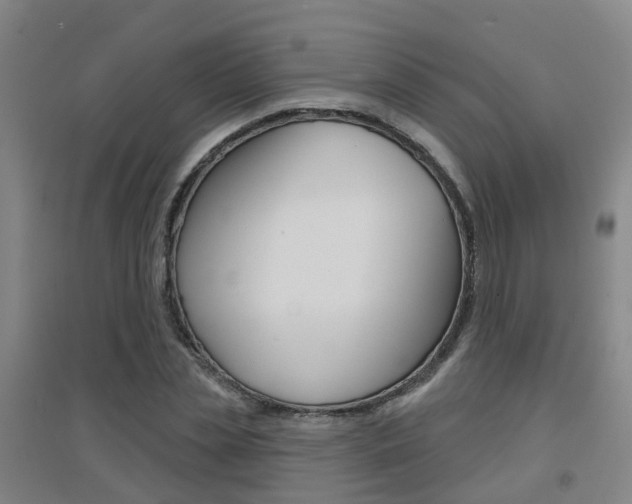 X0000094460829200711081057